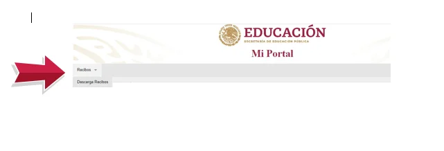 Registro en la plataforma FONE IEEPO