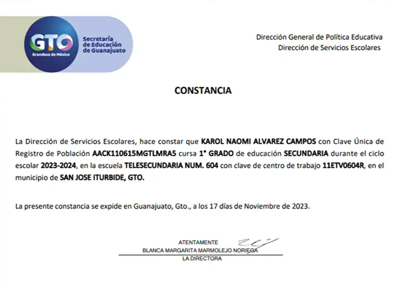 Portal SEG Guía Completa del Portal de Servicios en Línea SEG